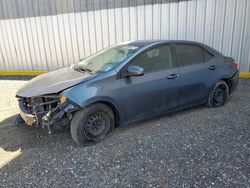 Salvage cars for sale at Greenwell Springs, LA auction: 2014 Toyota Corolla L