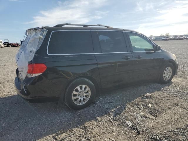 2009 Honda Odyssey EXL