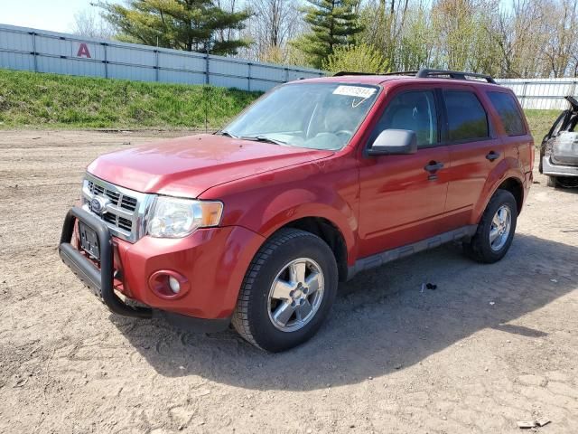 2010 Ford Escape XLT