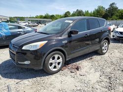 Salvage cars for sale from Copart Memphis, TN: 2013 Ford Escape SE