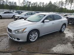Salvage cars for sale from Copart Harleyville, SC: 2009 Nissan Maxima S