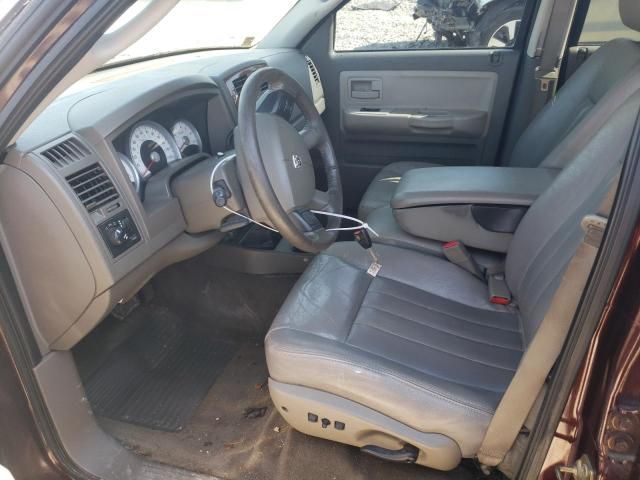 2005 Dodge Dakota Quad SLT