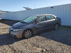 Salvage cars for sale from Copart Central Square, NY: 2009 Honda Civic EX