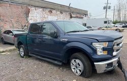 Vehiculos salvage en venta de Copart Woodhaven, MI: 2015 Ford F150 Supercrew