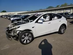 Salvage cars for sale from Copart Louisville, KY: 2021 Tesla Model Y