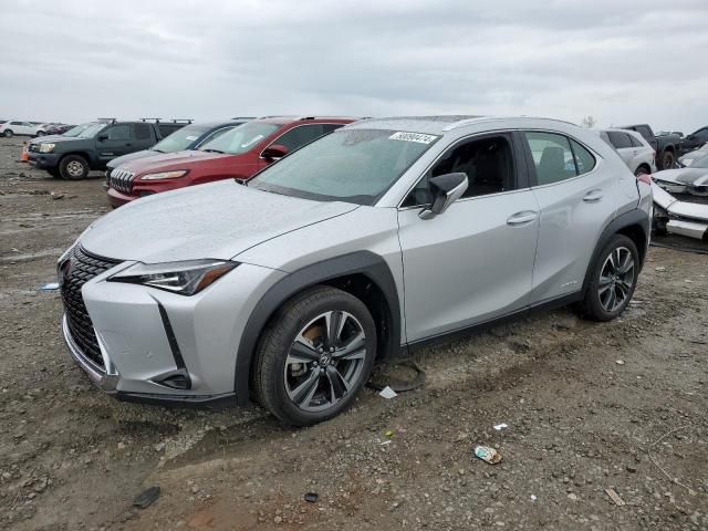 2020 Lexus UX 250H