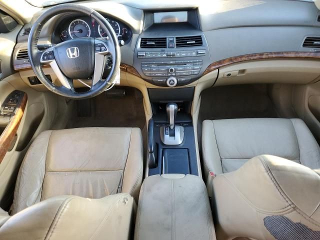 2009 Honda Accord EXL