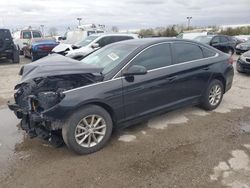 Salvage cars for sale at Indianapolis, IN auction: 2019 Hyundai Sonata SE