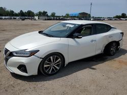 Salvage cars for sale from Copart Newton, AL: 2019 Nissan Maxima S