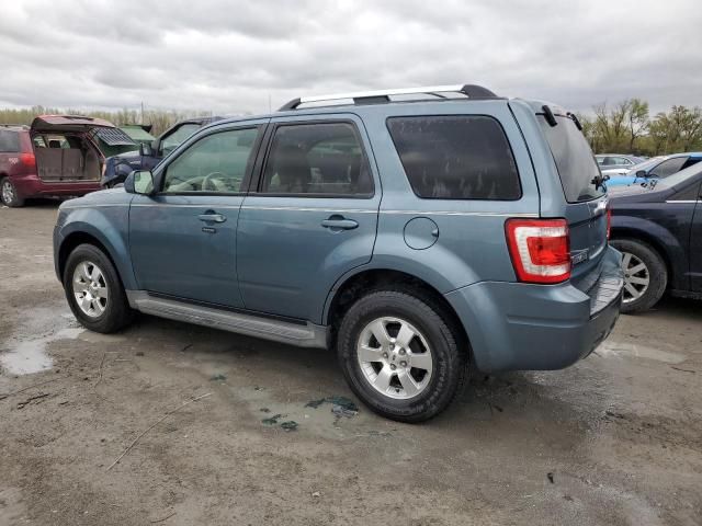 2010 Ford Escape Limited