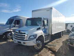 Salvage trucks for sale at Brookhaven, NY auction: 2019 Hino 258 268