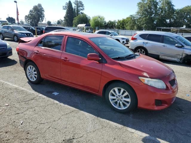 2009 Toyota Corolla Base