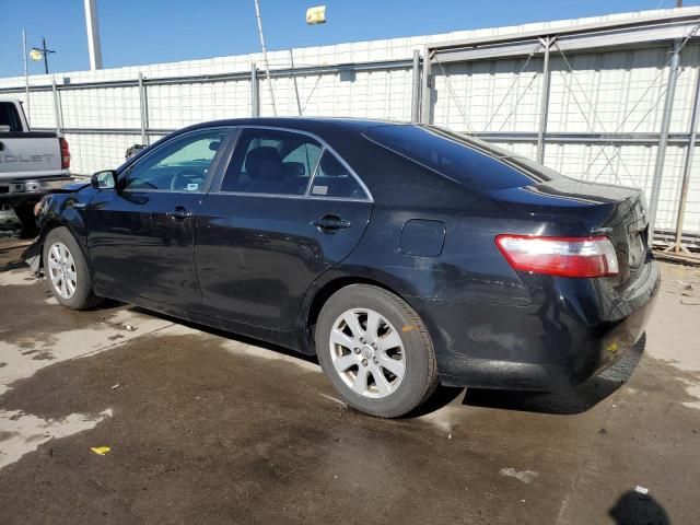 2009 Toyota Camry Hybrid