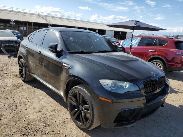 2010 BMW X6 M