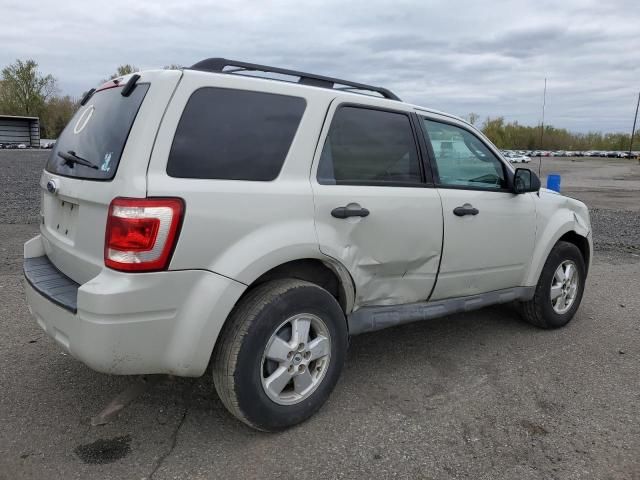 2009 Ford Escape XLT