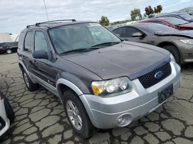 2005 Ford Escape HEV