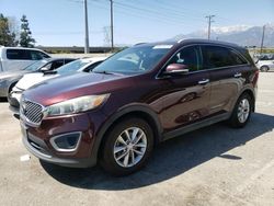 Salvage cars for sale at Rancho Cucamonga, CA auction: 2017 KIA Sorento LX