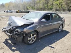 Salvage cars for sale at Marlboro, NY auction: 2013 Toyota Corolla Base