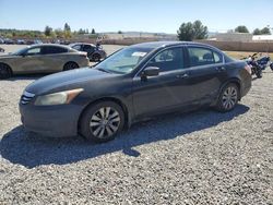 Salvage cars for sale at Mentone, CA auction: 2012 Honda Accord EX