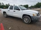 2007 Dodge Dakota Quattro