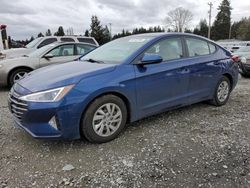 Salvage cars for sale from Copart Graham, WA: 2019 Hyundai Elantra SE