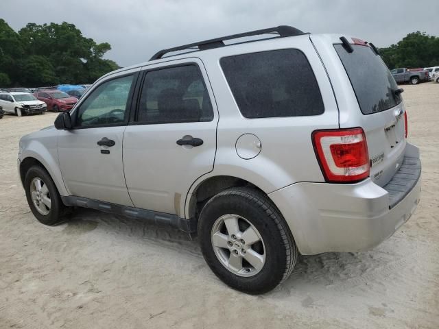 2010 Ford Escape XLT