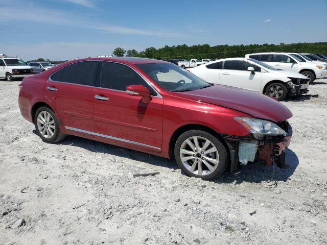 2011 Lexus ES 350