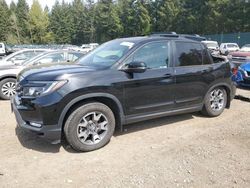 Salvage cars for sale from Copart Graham, WA: 2022 Honda Passport Trail Sport