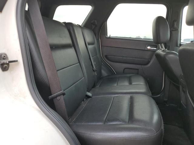 2009 Ford Escape Limited