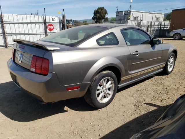 2005 Ford Mustang