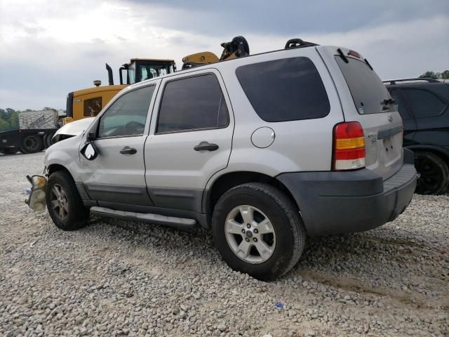 2006 Ford Escape XLT