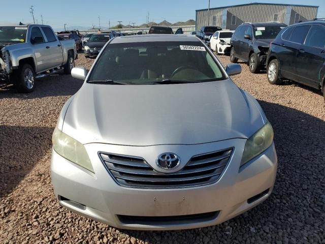 2009 Toyota Camry Hybrid