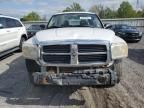 2006 Dodge Dakota Quattro