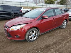 Salvage cars for sale from Copart Davison, MI: 2013 Ford Focus SE