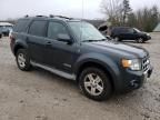 2008 Ford Escape HEV