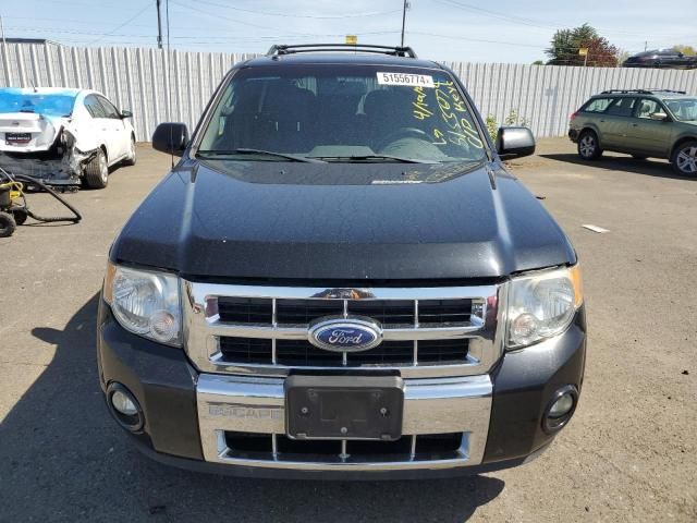 2010 Ford Escape Limited