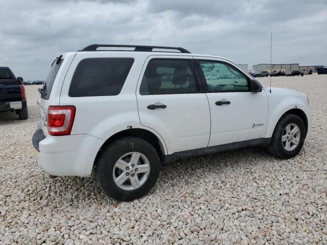 2011 Ford Escape Hybrid