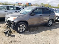 Salvage cars for sale from Copart Columbus, OH: 2010 Honda CR-V EX