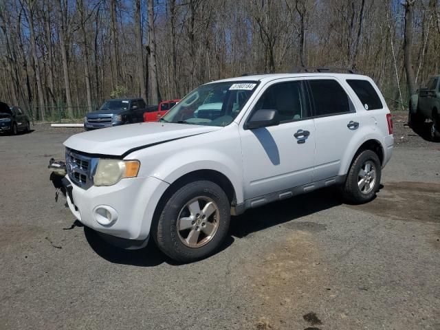 2011 Ford Escape XLT