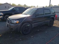 Ford Escape XLT salvage cars for sale: 2007 Ford Escape XLT