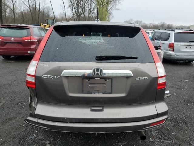 2010 Honda CR-V EXL