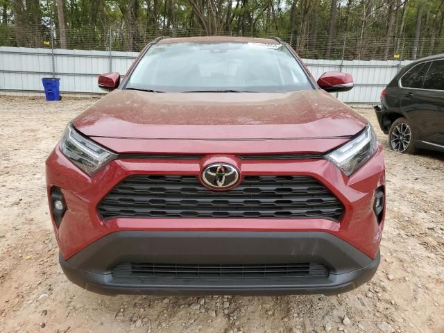 2024 Toyota Rav4 XLE Premium