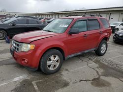 Salvage cars for sale at Lawrenceburg, KY auction: 2010 Ford Escape XLT