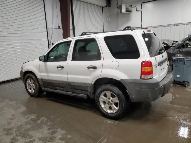 2005 Ford Escape XLT