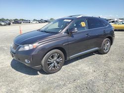 Vehiculos salvage en venta de Copart Antelope, CA: 2010 Lexus RX 450