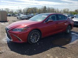 Lexus es 350 Base salvage cars for sale: 2024 Lexus ES 350 Base