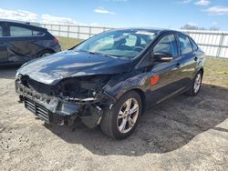 Ford Focus SE salvage cars for sale: 2014 Ford Focus SE