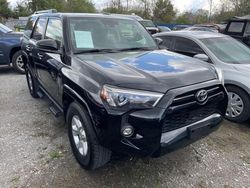 Salvage cars for sale at Lebanon, TN auction: 2023 Toyota 4runner SR5