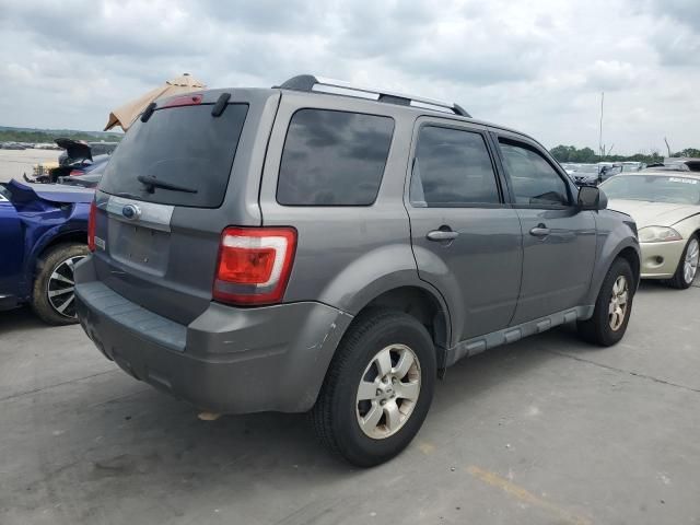 2009 Ford Escape Limited