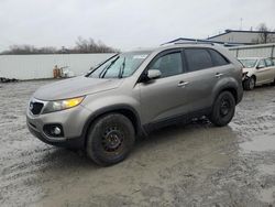 KIA Vehiculos salvage en venta: 2011 KIA Sorento Base